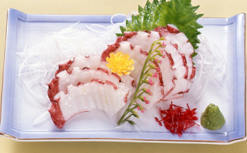 Plastic replicas of dishes - Raw fish