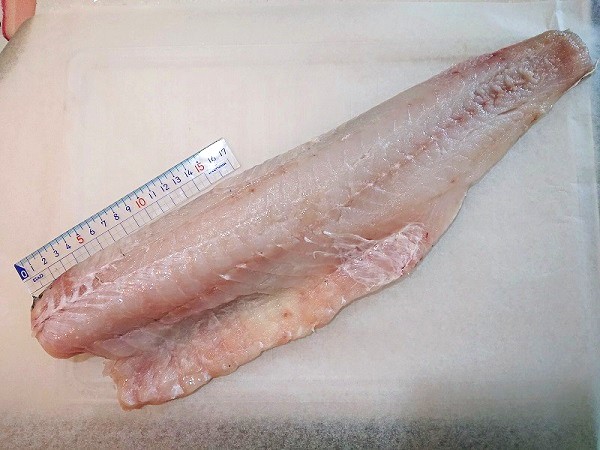 Cod Fillet