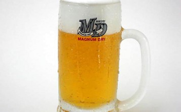 Plastic replicas of dishes - Beer