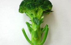 Broccoli (115/165mm)