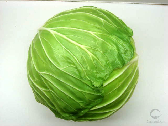 Large cabbage (210/135mm)