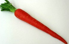 Carrot (50/325)