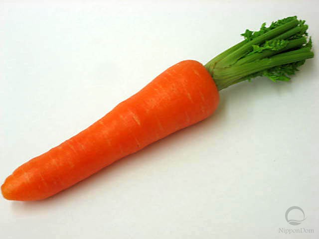 Carrot (50/190mm)