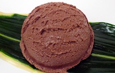 Chocolate ice cream (12)