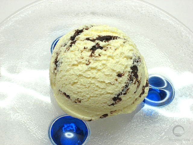 Chocolate chip vanilla ice cream (14)