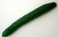 Cucumber (30/225mm)
