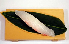 Replica of sushi Flounder (6)