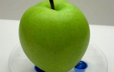 Green apple (large)