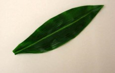 Green leaf (22 cm)