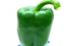 Green pepper (90/78mm)