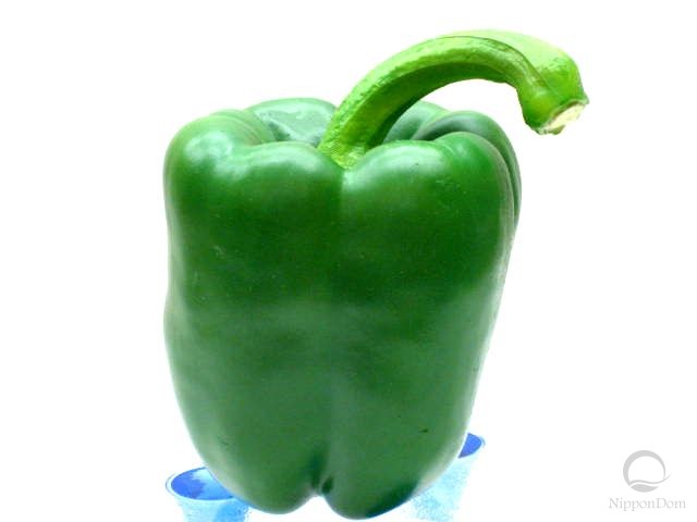 Green pepper (90/78mm)