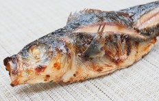 Grilled fish-1