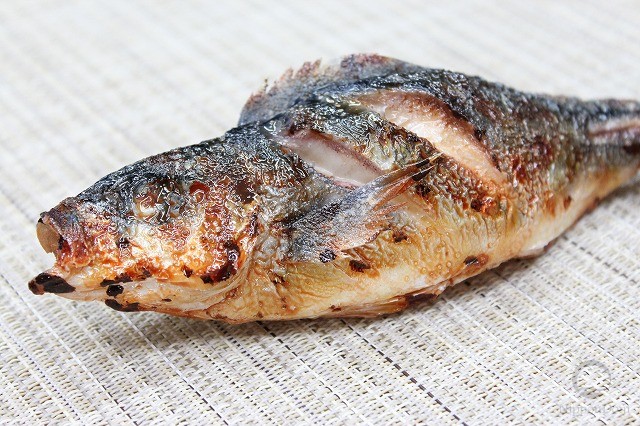 Grilled fish-2