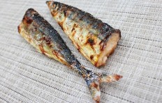 Grilled Pacific saury-2
