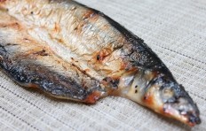 Grilled Pacific saury-3