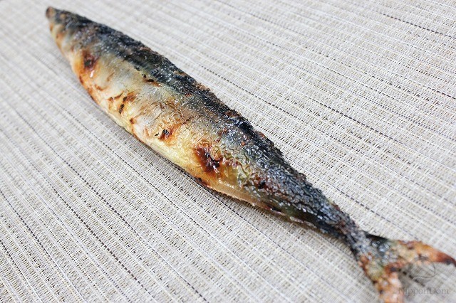 Grilled Pacific saury