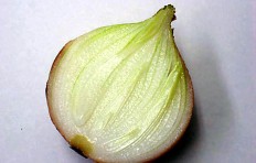Half-cut onion (84/100/40mm)