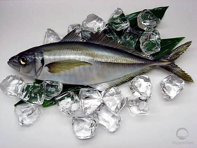 Horse mackerel (34.5 cm)-2