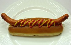 Hot dog with a vienna sausage-1