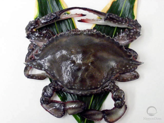 Large blue crab (raw)