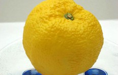 Large lemon