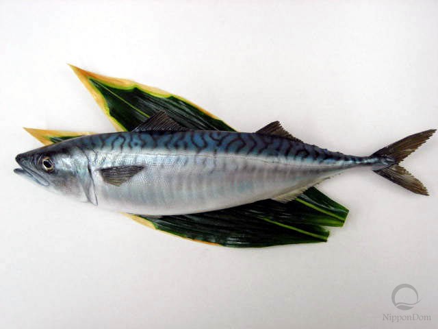 Mackerel (41 cm)