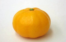 Mandarin-1