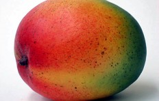 Mexican mango