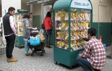 Как открыть фаст фуд и увеличить продажи