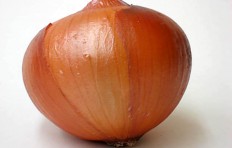 Onion (100/90mm)