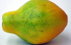 Papaya large