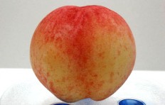 Peach (medium)