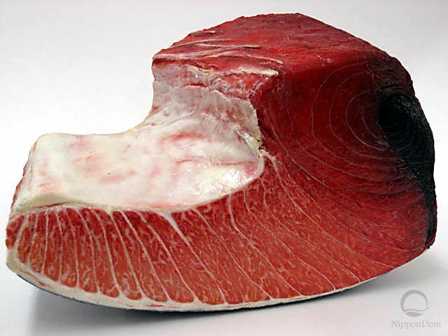 A piece of tuna-1