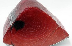 A piece of tuna-2