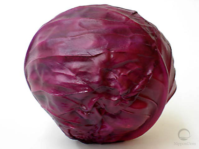 Red cabbage (110/110mm)