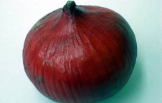 Red onion (95/88mm)