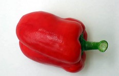 Red pepper (80/105mm)