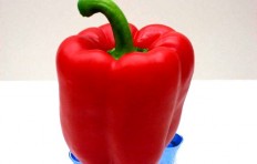Red pepper (90/78mm)