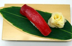 Replica of sushi “red tuna (16)”