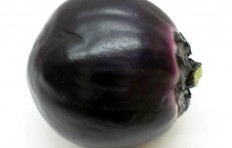 Large round eggplant (100/100mm)