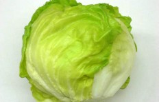 Lettuce (140/120mm)