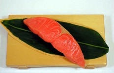 Salmon-6