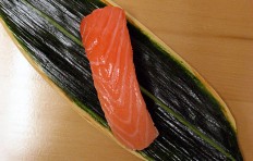 Salmon-7