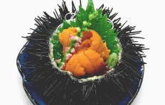 Sea urchin roe-2