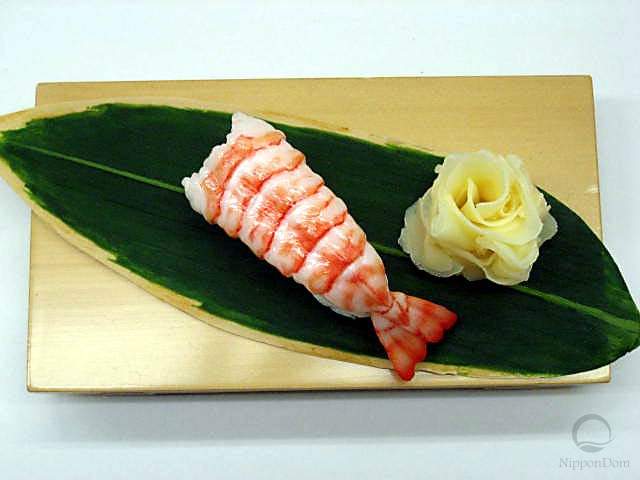 Shrimp-6