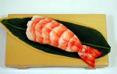 Shrimp-8