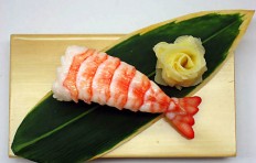 Shrimp-9