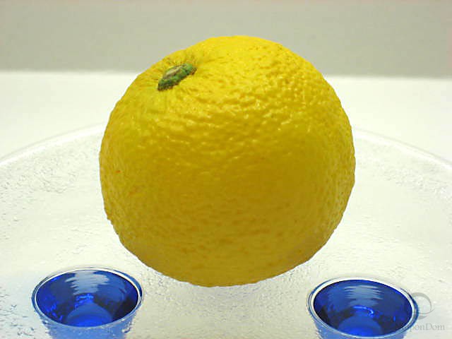 Small lemon-1