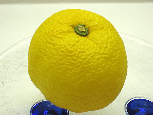 Small lemon-2