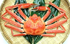 Small snow crab (boiled)